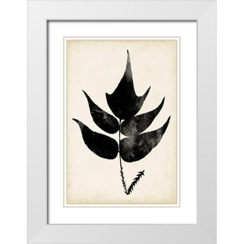 Fern Silhouette IV White Modern Wood Framed Art Print with Double Matting by Vision Studio