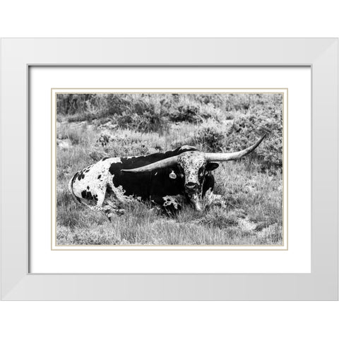 B and W Longhorn I White Modern Wood Framed Art Print with Double Matting by Stockton, Tyler