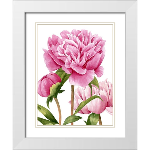 Winsome Peonies II White Modern Wood Framed Art Print with Double Matting by Popp, Grace