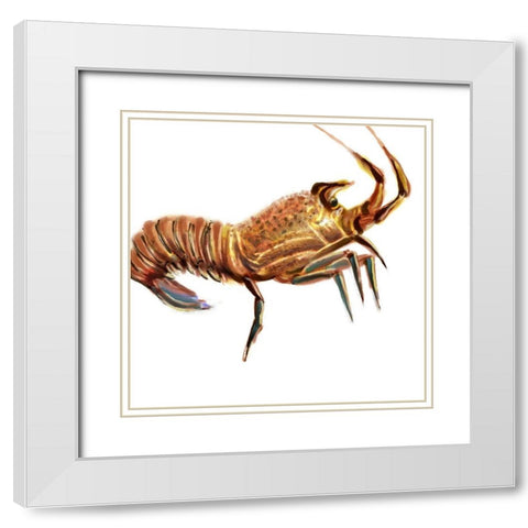 Illustrated Lobster II White Modern Wood Framed Art Print with Double Matting by Novak, Rick