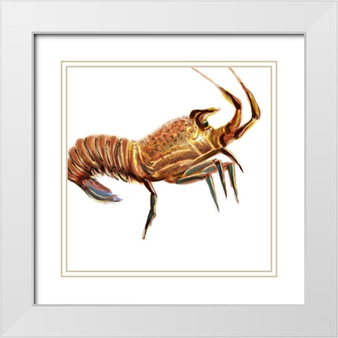 Illustrated Lobster II White Modern Wood Framed Art Print with Double Matting by Novak, Rick