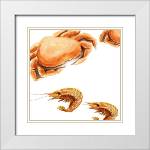 Illustrated Crab White Modern Wood Framed Art Print with Double Matting by Novak, Rick
