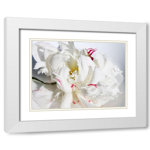 Breathless I White Modern Wood Framed Art Print with Double Matting by Orlov, Irena