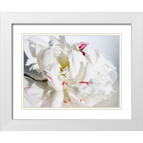 Breathless I White Modern Wood Framed Art Print with Double Matting by Orlov, Irena
