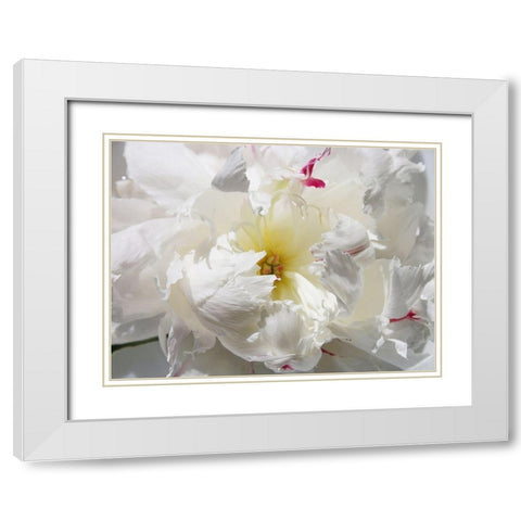 Breathless II White Modern Wood Framed Art Print with Double Matting by Orlov, Irena