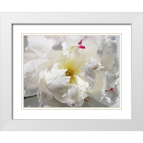 Breathless II White Modern Wood Framed Art Print with Double Matting by Orlov, Irena