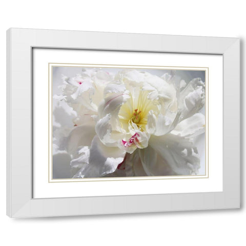 Breathless III White Modern Wood Framed Art Print with Double Matting by Orlov, Irena