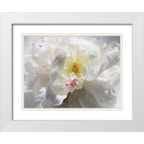 Breathless III White Modern Wood Framed Art Print with Double Matting by Orlov, Irena