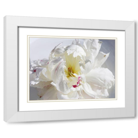 Breathless IV White Modern Wood Framed Art Print with Double Matting by Orlov, Irena