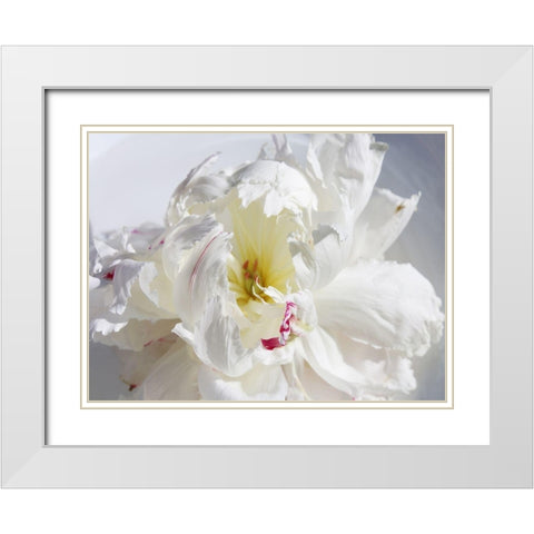 Breathless IV White Modern Wood Framed Art Print with Double Matting by Orlov, Irena