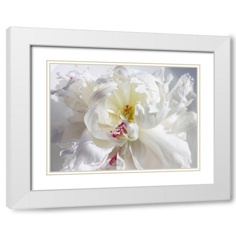 Breathless V White Modern Wood Framed Art Print with Double Matting by Orlov, Irena