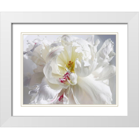 Breathless V White Modern Wood Framed Art Print with Double Matting by Orlov, Irena