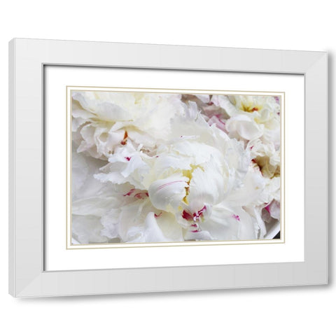 Breathless VI White Modern Wood Framed Art Print with Double Matting by Orlov, Irena