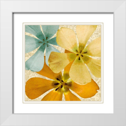 Springtime Glow I White Modern Wood Framed Art Print with Double Matting by Saunders, Alonzo
