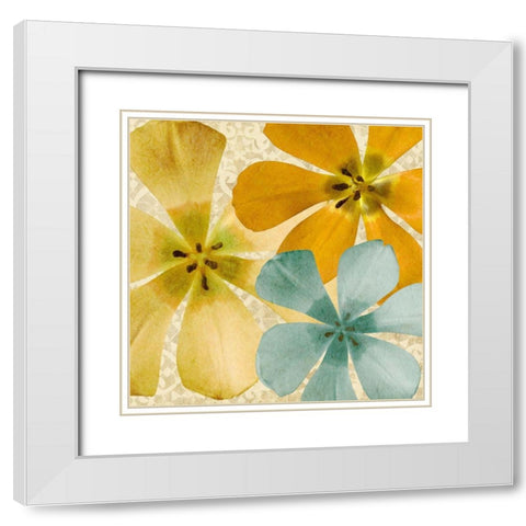 Springtime Glow II White Modern Wood Framed Art Print with Double Matting by Saunders, Alonzo