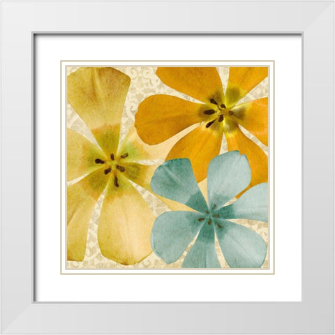 Springtime Glow II White Modern Wood Framed Art Print with Double Matting by Saunders, Alonzo