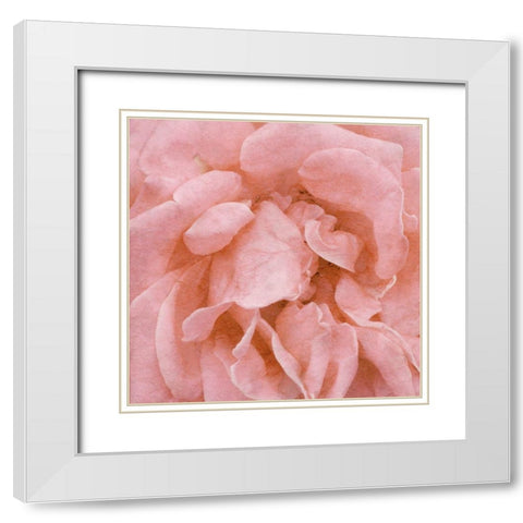 Wall Flower IV White Modern Wood Framed Art Print with Double Matting by Saunders, Alonzo