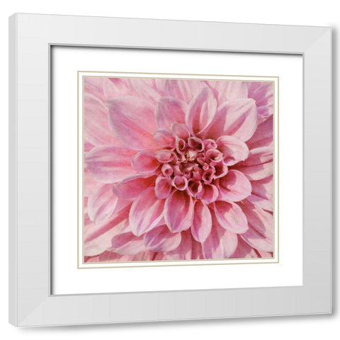 Wall Flower VII White Modern Wood Framed Art Print with Double Matting by Saunders, Alonzo