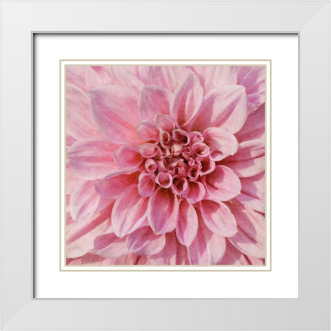 Wall Flower VII White Modern Wood Framed Art Print with Double Matting by Saunders, Alonzo