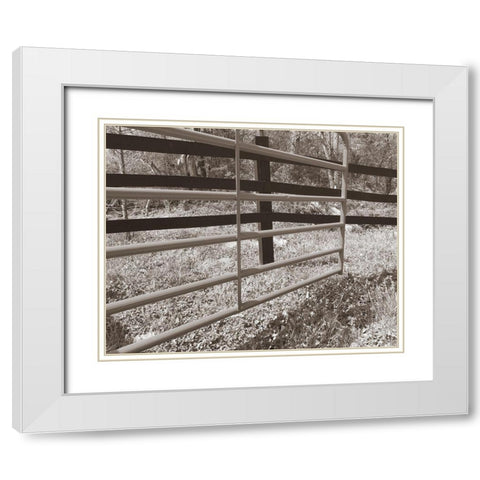 Sepia Farm Study I White Modern Wood Framed Art Print with Double Matting by Ludwig, Alicia