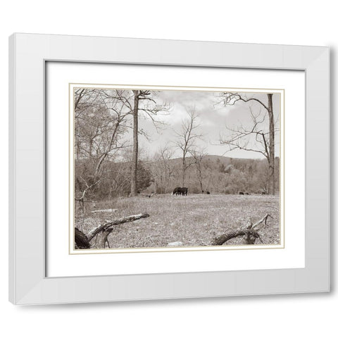 Sepia Farm Study II White Modern Wood Framed Art Print with Double Matting by Ludwig, Alicia