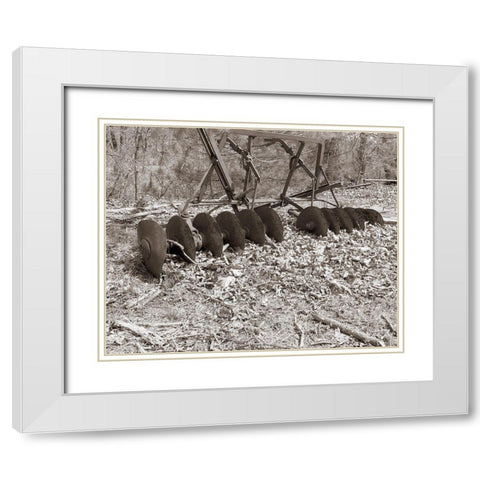 Sepia Farm Study III White Modern Wood Framed Art Print with Double Matting by Ludwig, Alicia