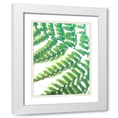 Fern Glow II White Modern Wood Framed Art Print with Double Matting by Johnson, Jason