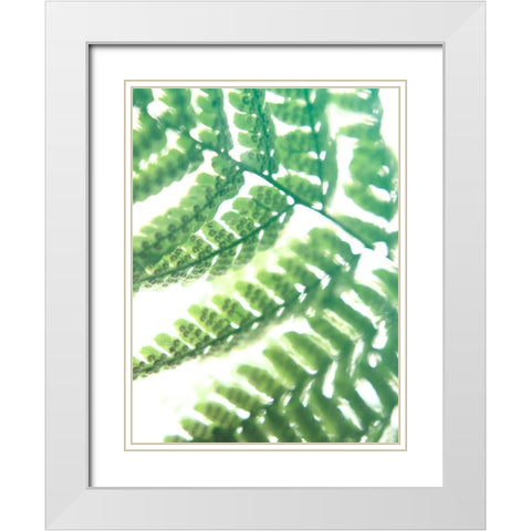 Fern Glow II White Modern Wood Framed Art Print with Double Matting by Johnson, Jason