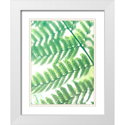 Fern Glow III White Modern Wood Framed Art Print with Double Matting by Johnson, Jason