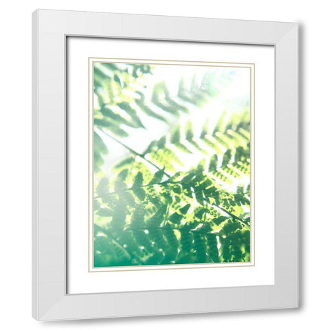 Fern Glow V White Modern Wood Framed Art Print with Double Matting by Johnson, Jason