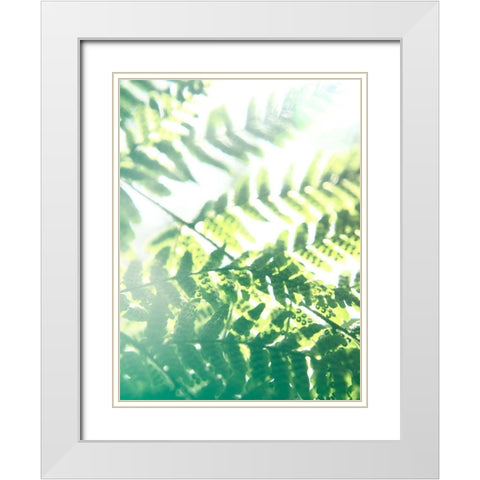 Fern Glow V White Modern Wood Framed Art Print with Double Matting by Johnson, Jason