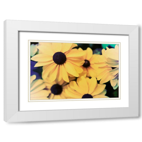 Susans I White Modern Wood Framed Art Print with Double Matting by Johnson, Jason