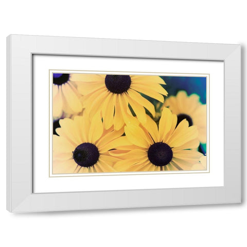 Susans II White Modern Wood Framed Art Print with Double Matting by Johnson, Jason