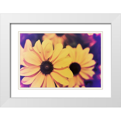 Susans III White Modern Wood Framed Art Print with Double Matting by Johnson, Jason