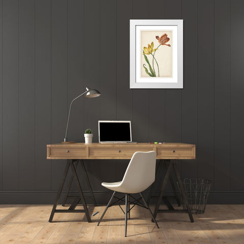 Two Tulips I White Modern Wood Framed Art Print with Double Matting by Wang, Melissa