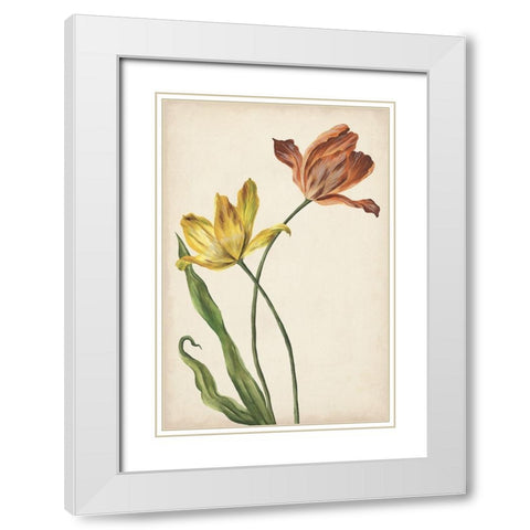 Two Tulips I White Modern Wood Framed Art Print with Double Matting by Wang, Melissa