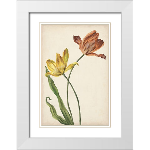 Two Tulips I White Modern Wood Framed Art Print with Double Matting by Wang, Melissa