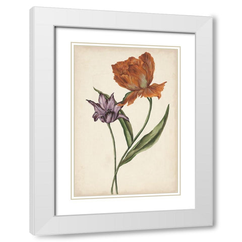 Two Tulips II White Modern Wood Framed Art Print with Double Matting by Wang, Melissa