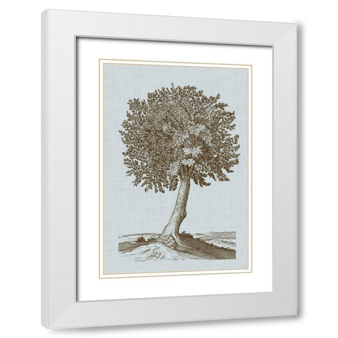 Antique Tree in Sepia I White Modern Wood Framed Art Print with Double Matting by Vision Studio