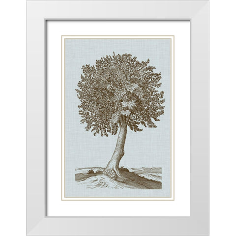 Antique Tree in Sepia I White Modern Wood Framed Art Print with Double Matting by Vision Studio