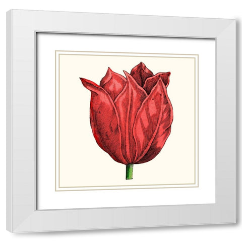 Tulip Garden II White Modern Wood Framed Art Print with Double Matting by Vision Studio
