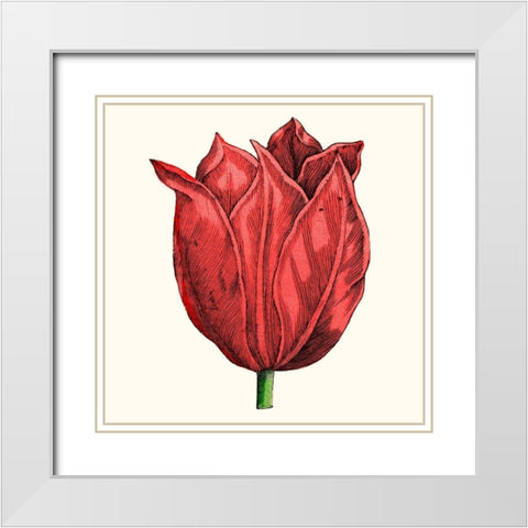 Tulip Garden II White Modern Wood Framed Art Print with Double Matting by Vision Studio