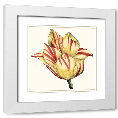 Tulip Garden III White Modern Wood Framed Art Print with Double Matting by Vision Studio