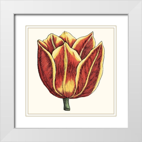 Tulip Garden IV White Modern Wood Framed Art Print with Double Matting by Vision Studio