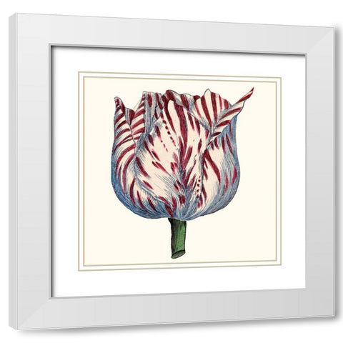 Tulip Garden VI White Modern Wood Framed Art Print with Double Matting by Vision Studio