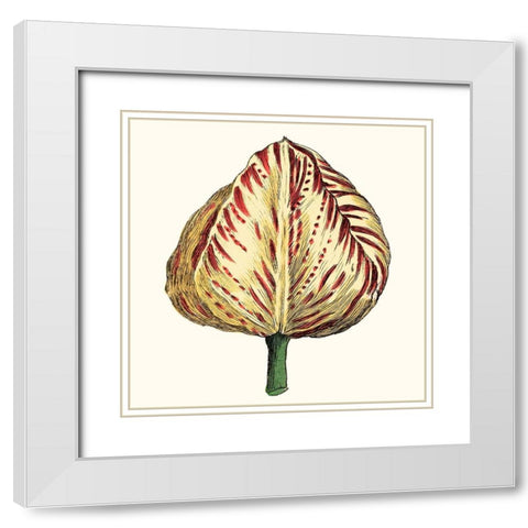 Tulip Garden IX White Modern Wood Framed Art Print with Double Matting by Vision Studio