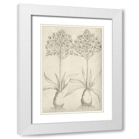 Fresco Floral I White Modern Wood Framed Art Print with Double Matting by Vision Studio