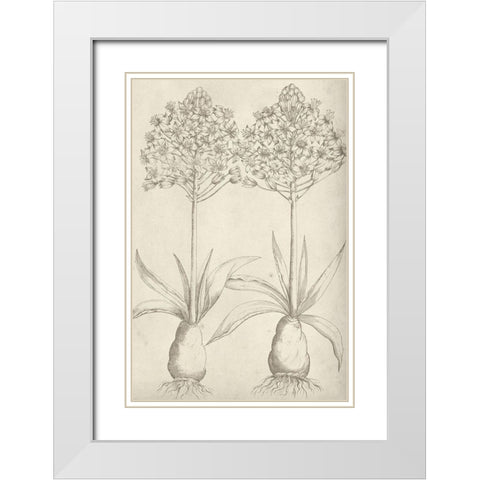 Fresco Floral I White Modern Wood Framed Art Print with Double Matting by Vision Studio