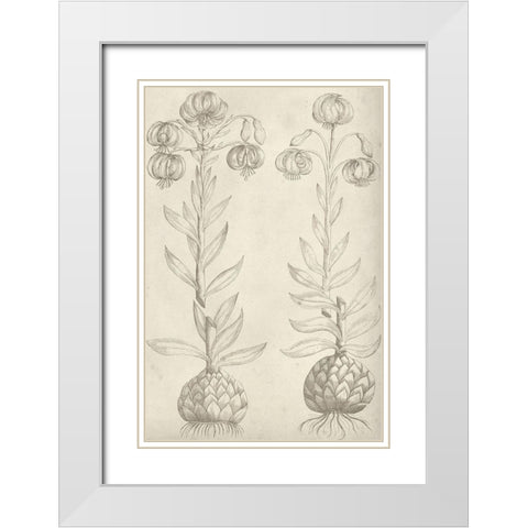 Fresco Floral II White Modern Wood Framed Art Print with Double Matting by Vision Studio