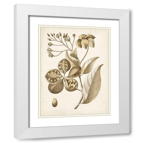 Ochre Botanical II White Modern Wood Framed Art Print with Double Matting by Vision Studio